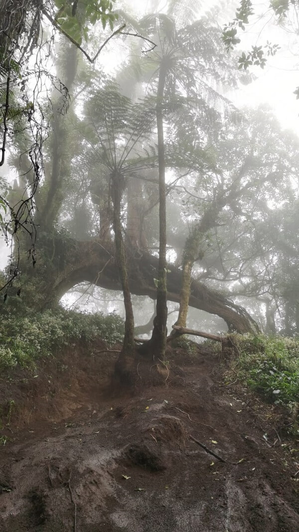 Mount Abang in the Clouds