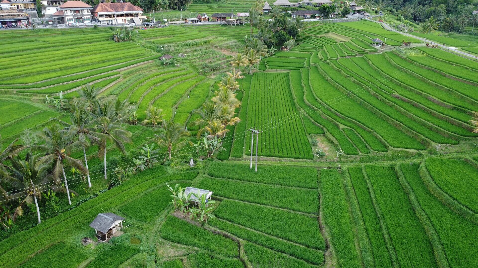12 Hidden Gems In Bali You Have To Visit