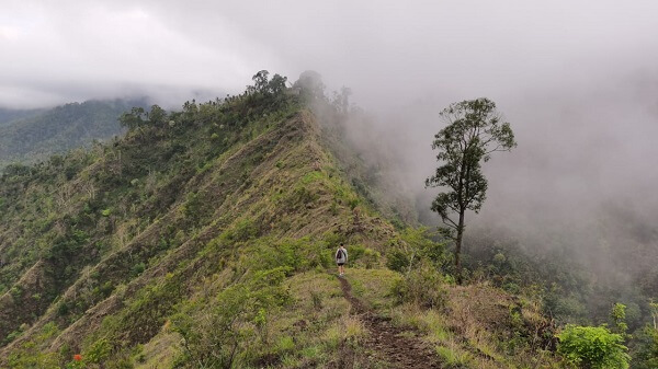 An amazing walk in the clouds