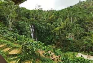Golden Valley Waterfall