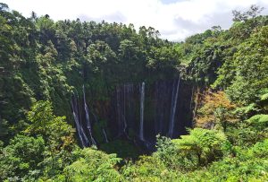 Hike Indonesia Tumpak Sewu