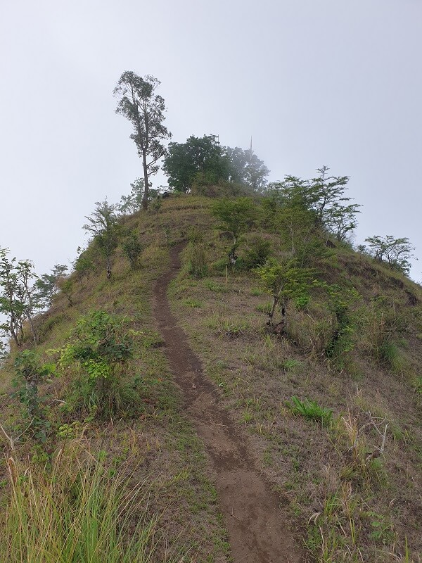 Hike up Bukit Mende