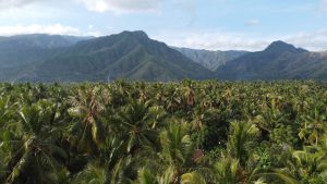 North Bali Itinerary