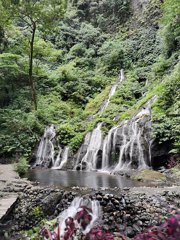 Wanagiri Pucak Manik