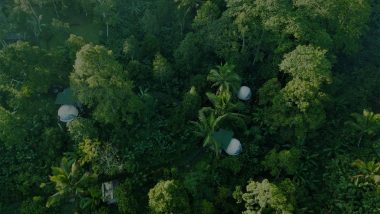 Bali Jungle Camping