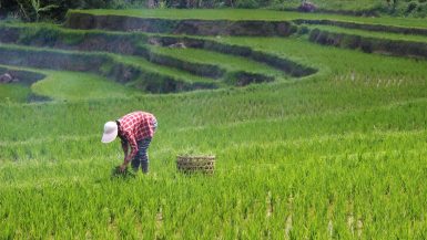 Complete Guide to Bali