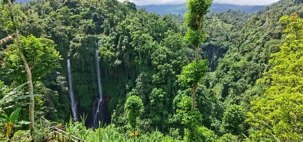 Sekumpul Waterfall Valley