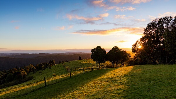 Amazing Views of the Gold Coast Hinterland