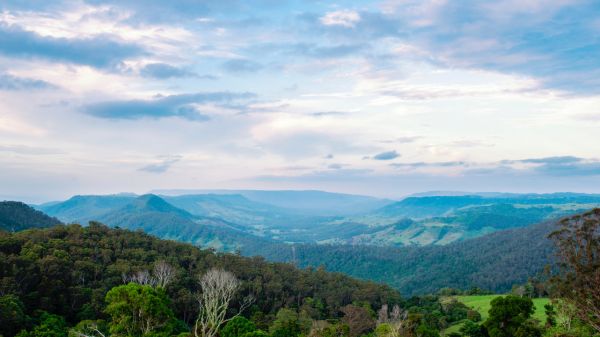 Gold Coast Hinterland – 7 Reasons you Need to Visit Today