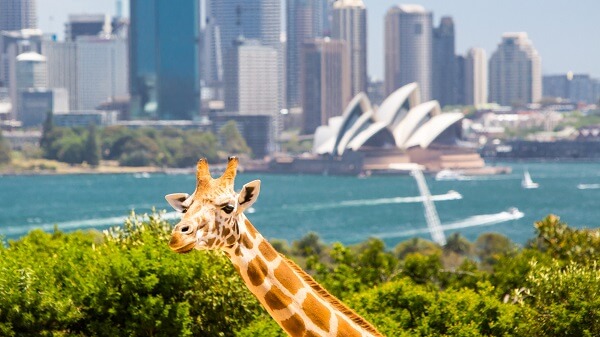 Taronga Zoo