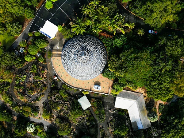 Brisbane Botanic Gardens