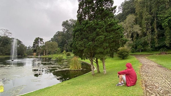 The pond with fountain