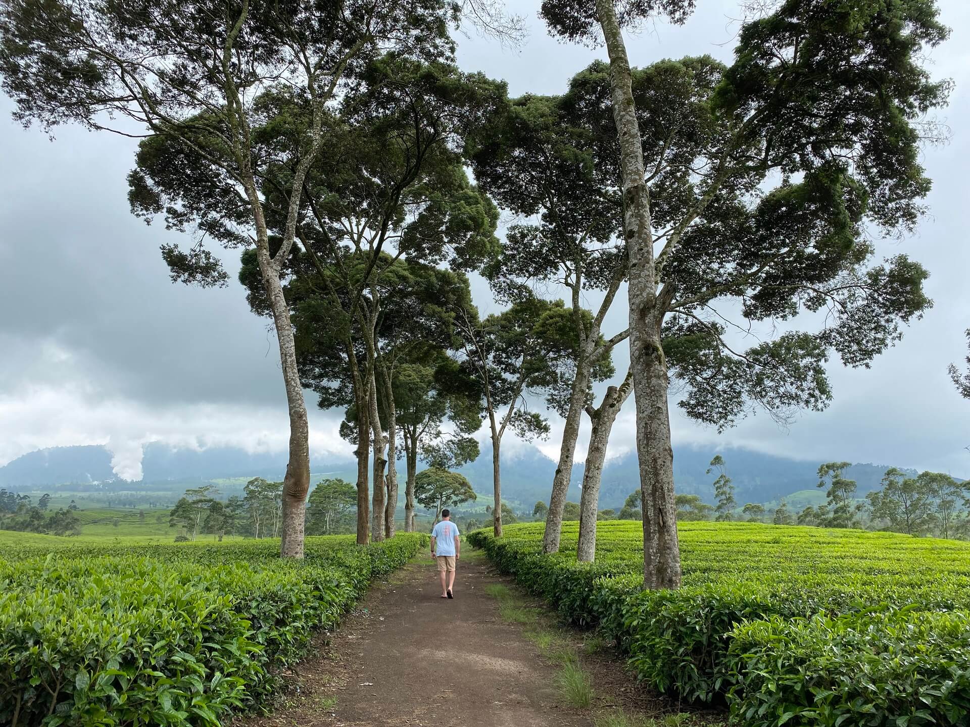 THE JOURNEY #6 – Train Travel in Indonesia