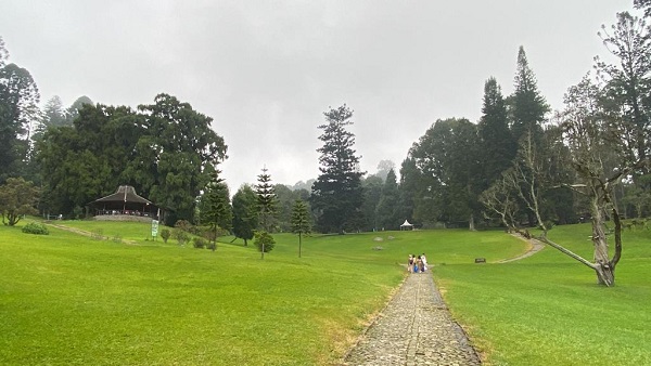 Wide open spaces Kebun Raya Cibodas