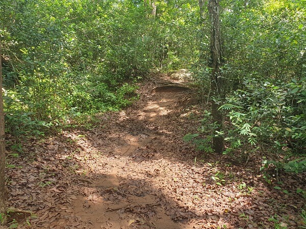 The track after Pos 2