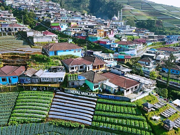 Welcome to Nepal Van Java