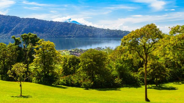 KEBUN RAYA BALI – Botanic Gardens in Bedugul