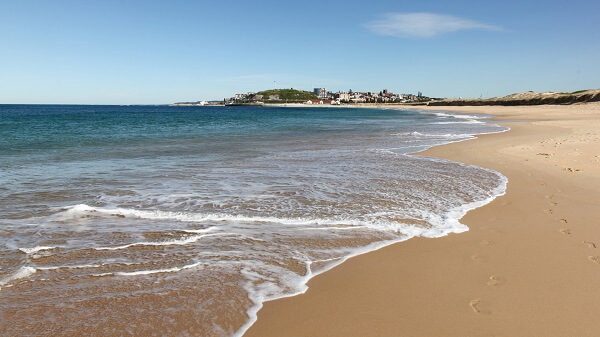 Day trips from sydney Newcastle
