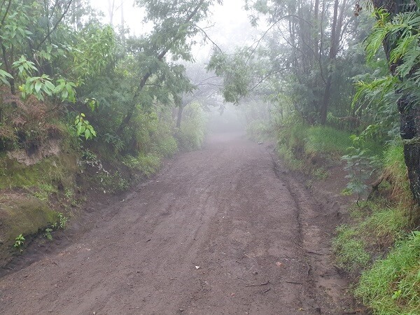 Mount Ijen Trail