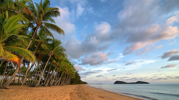 best beaches in australia Palm Cove