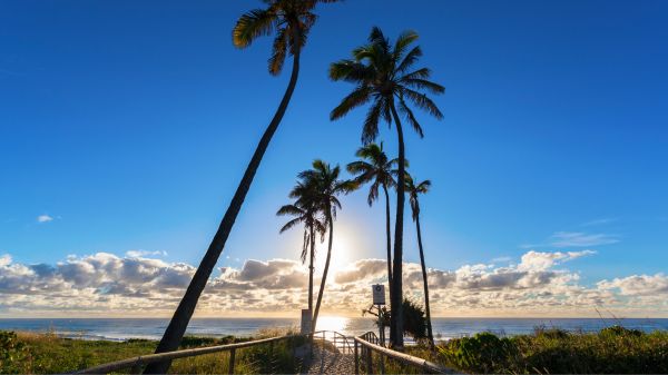 THE JOURNEY #11 – Time to Visit Australia!