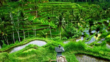 Facts about Bali