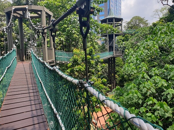 Kuala Lumpur Forest Eco Park