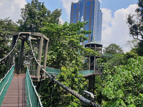 Treetops walk KL Forest Eco Park