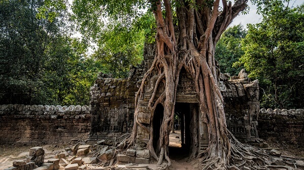 unmissable temples of angkor 2