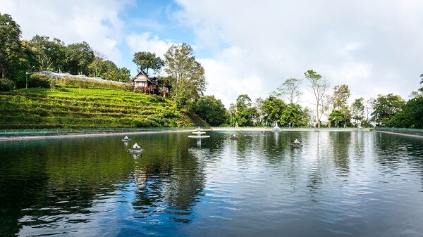 Bhubing Palace Lake