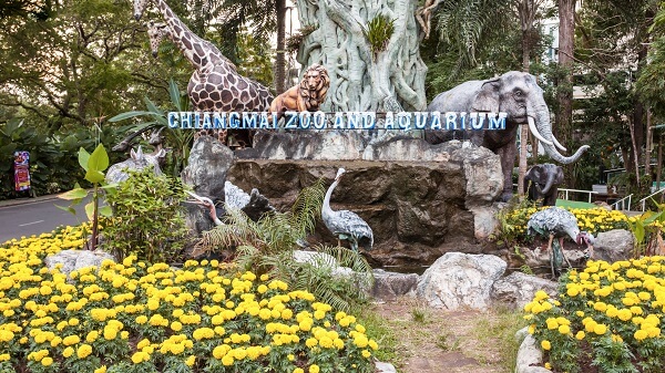 Chiang Mai Temples Itinerary Zoo