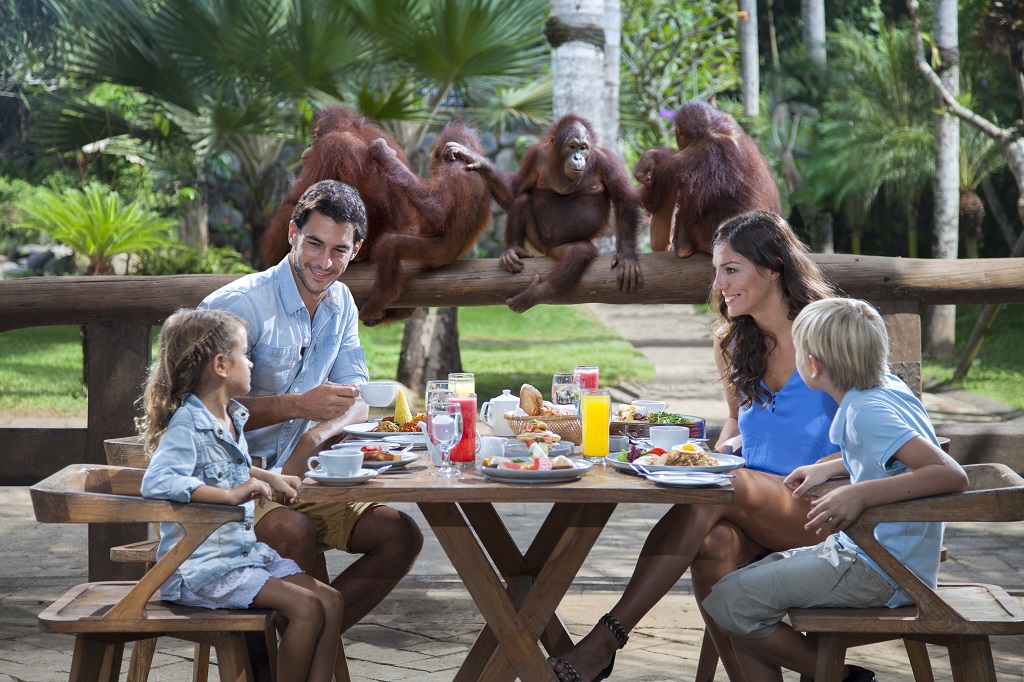 Breakfast with Orangutans