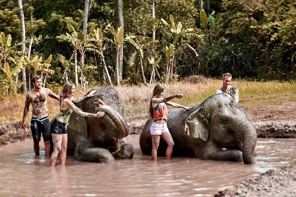 Elephant Mud Fun