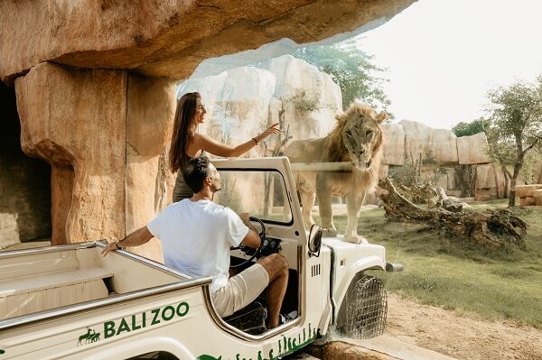 Enjoy the rest of Bali Zoo