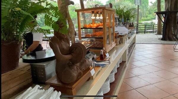 Breakfast with Orangutans Buffet