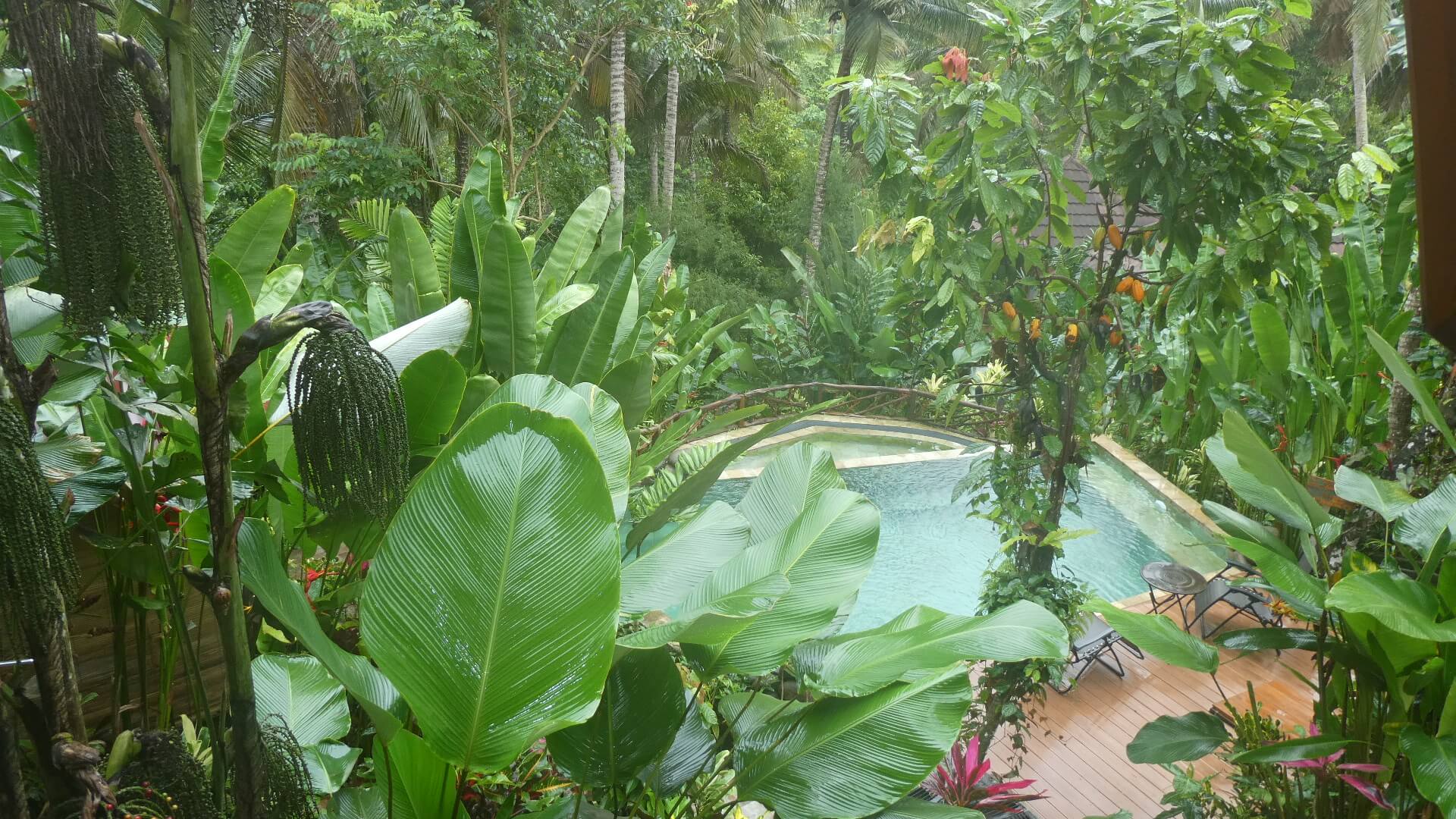 THE JOURNEY #15 – Eco Resort in Tabanan Getaway!