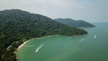 Penang National Park complete guide