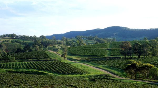 things to do in newcastle australia