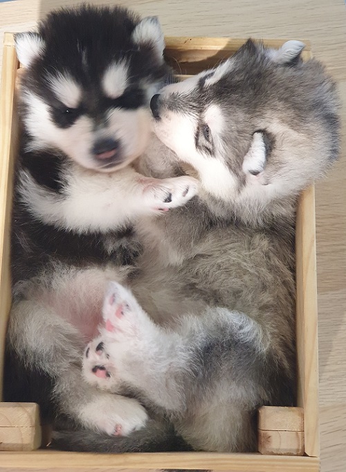 These two stole the show!