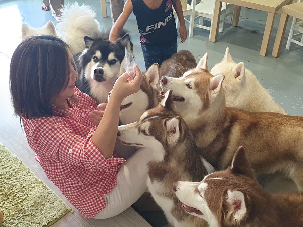 lining up for a snack