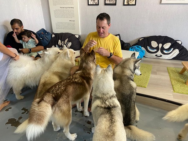 the huskitory feeding time