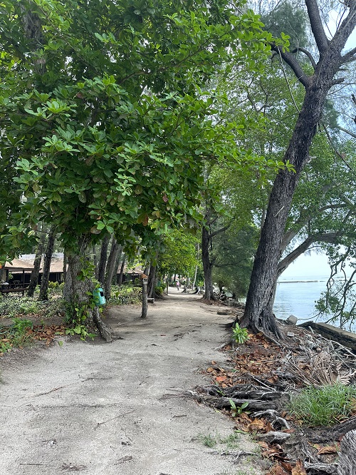 Riding around the island is easy on the sandy paths