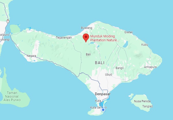 munduk moding plantation location