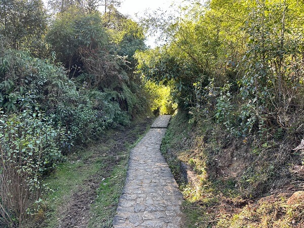 The Path to the falls is nicely paved all the way