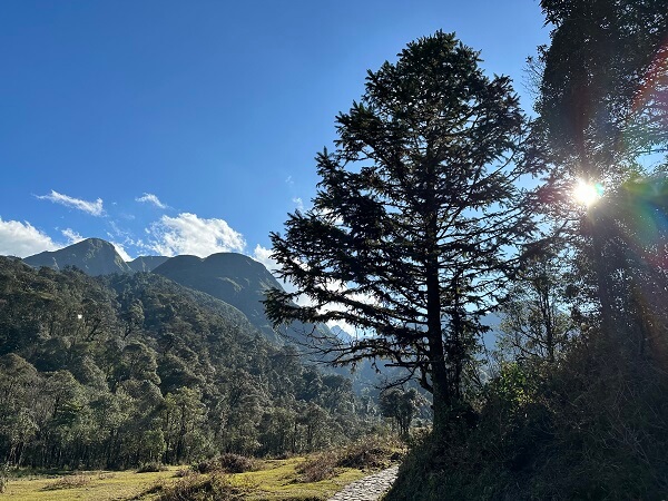 love waterfall sapa views