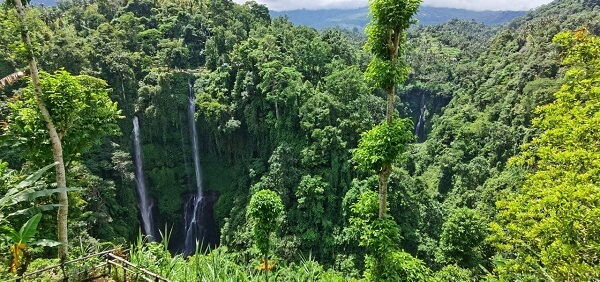 The Sekumpul Waterfall Valley is a full day out