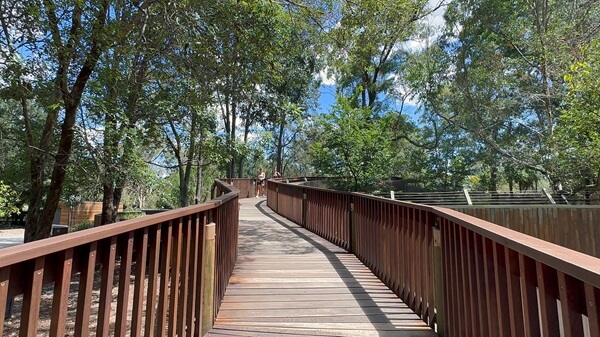 The Boardwalk area is raised to look down into the crocodile and dingo pits