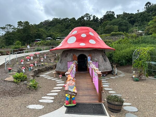 The Mushroom Fairy House at Maleny Botanic Gardens