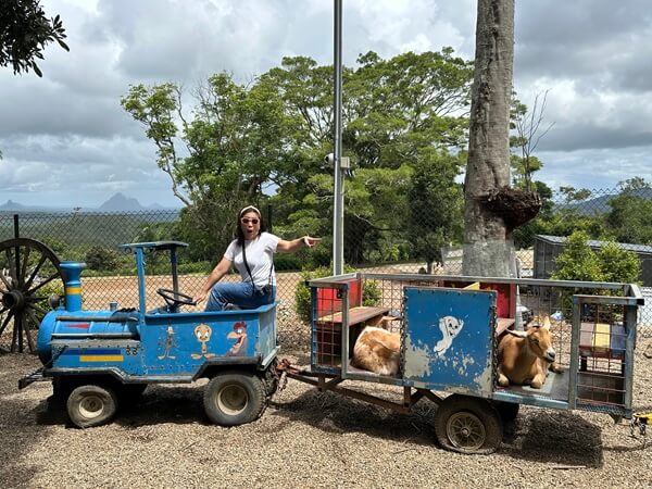 Taking the goats for a ride at Maleny Botanic Gardens