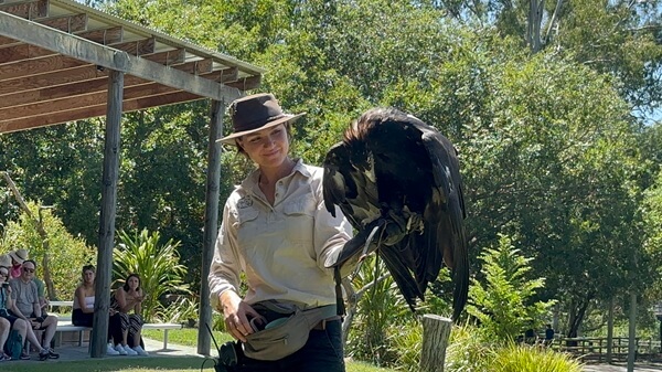 The Raptor show is unmissable